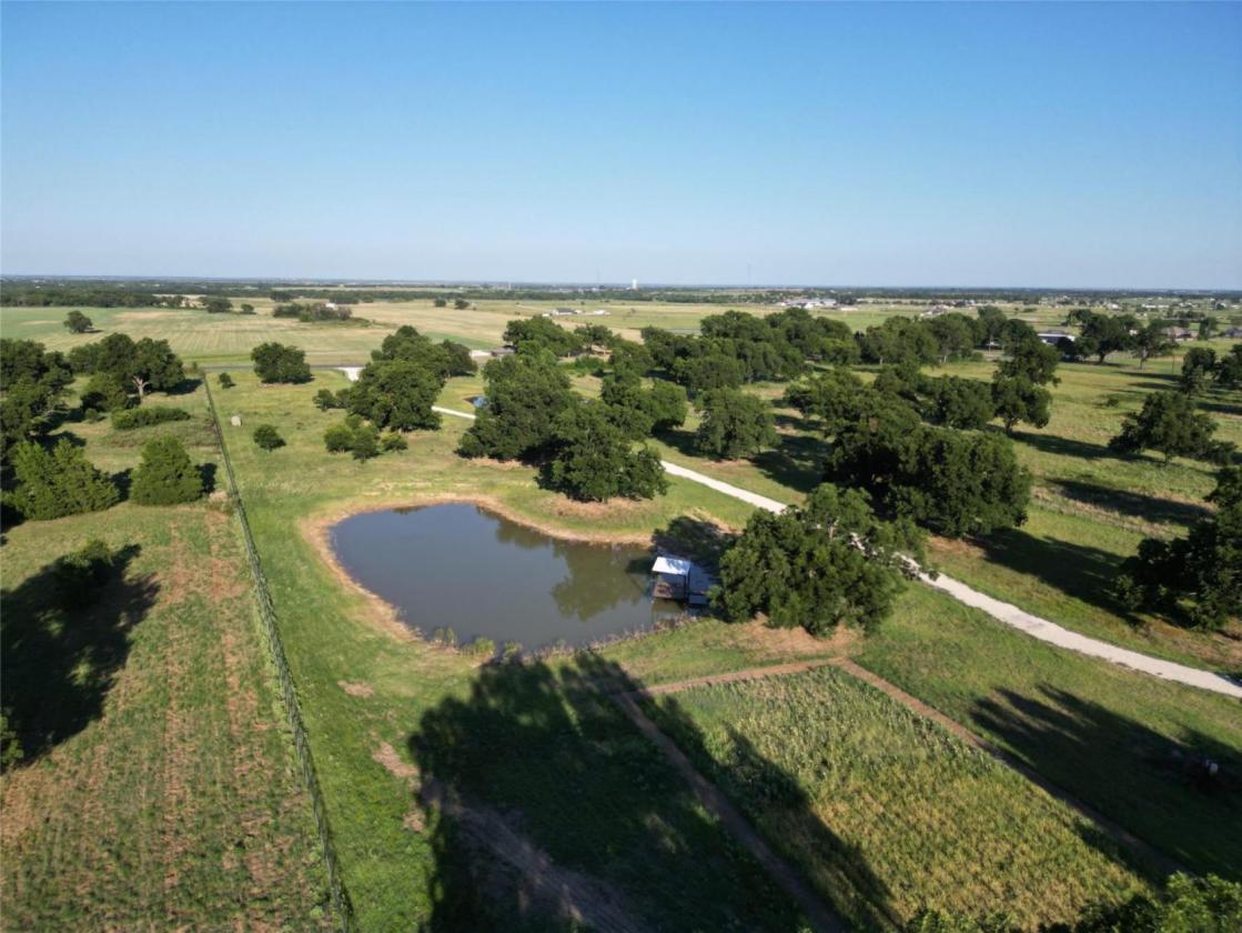 11 Acres of Pecan Trees - photo 19