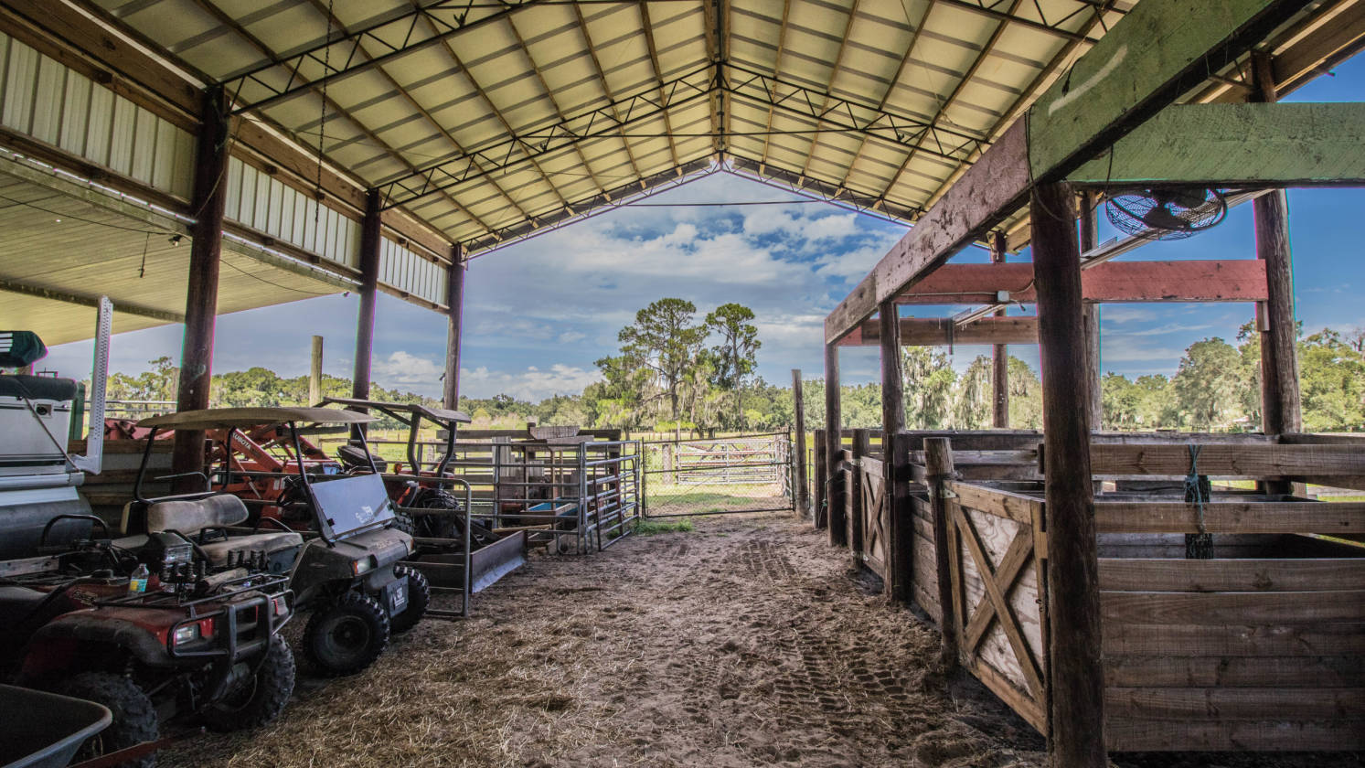 Beautiful Central Florida Estate. Cattle/ Horse farm with a Pool