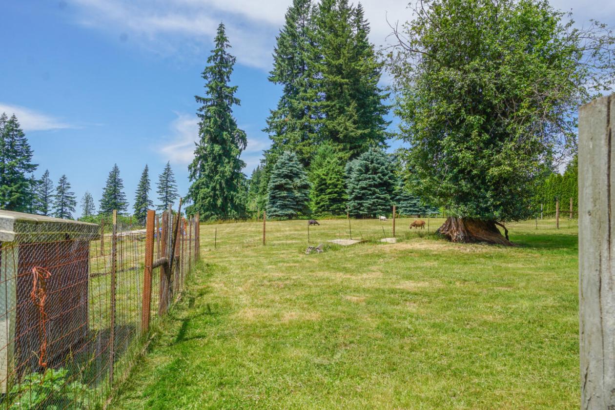 HORSE PROPERTY WITH 2 REMODELED HOMES ON 14+ ACRES - photo 25
