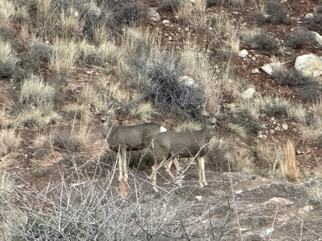 Pecos Valley Ranch - photo 16