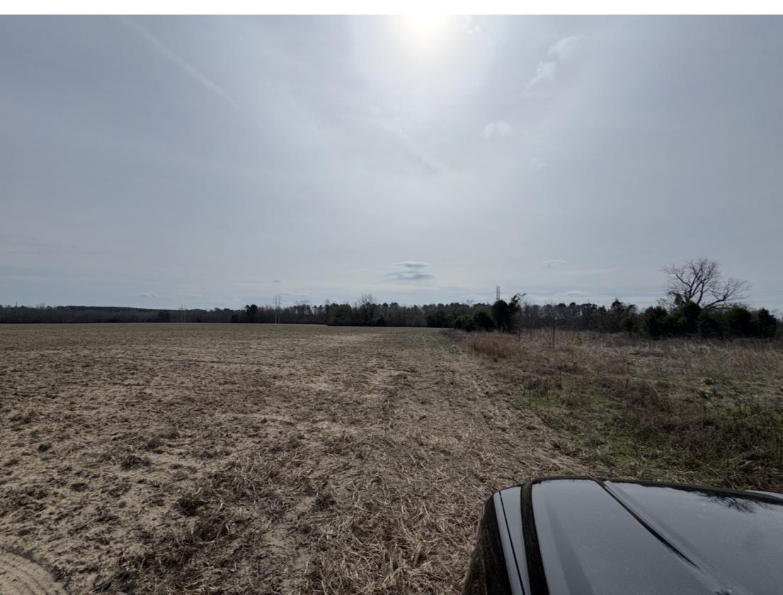 +/- 71 acres of RURAL LAND 20 minutes from Aiken - photo 4