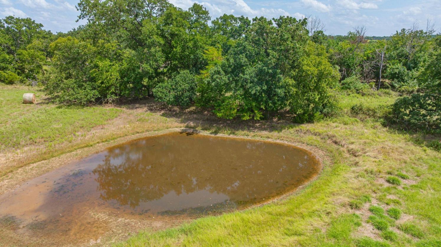 Turnkey Ranch Property With Coastal Fields!! - photo 3