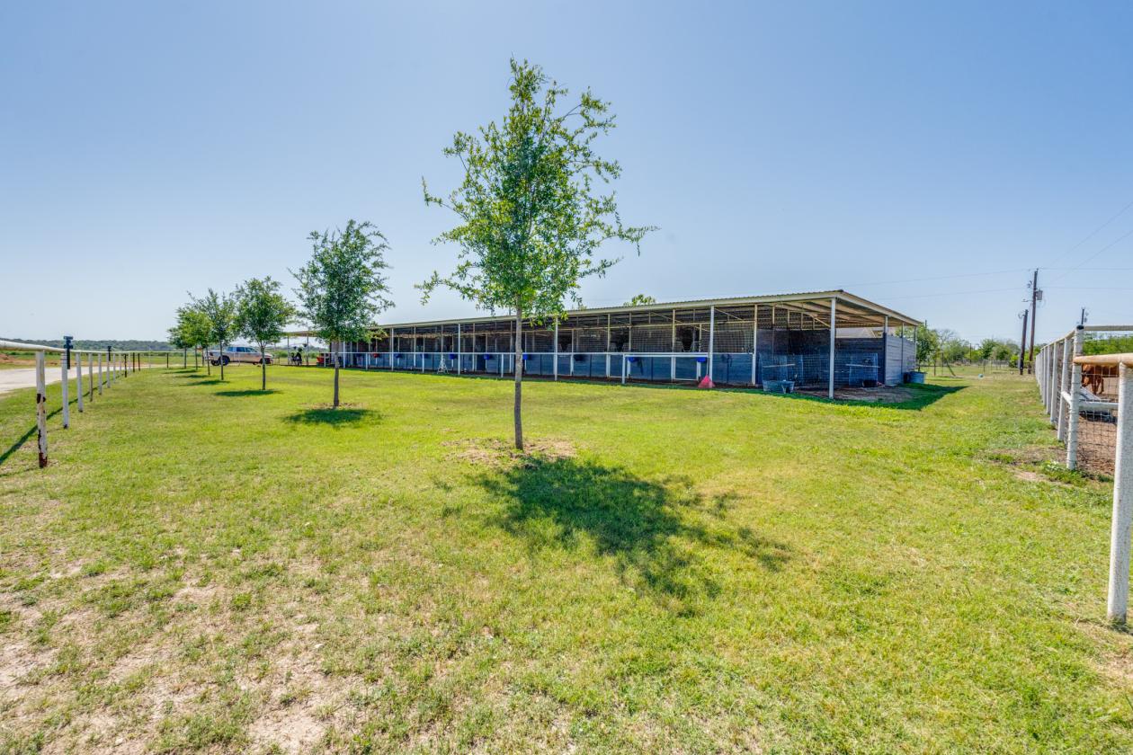 Horse Ranch - photo 9