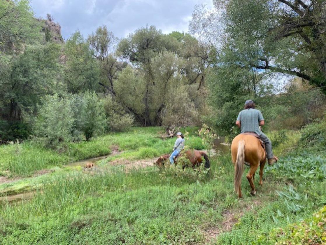 Exquisite Horse Property, Trail access from home - photo 17