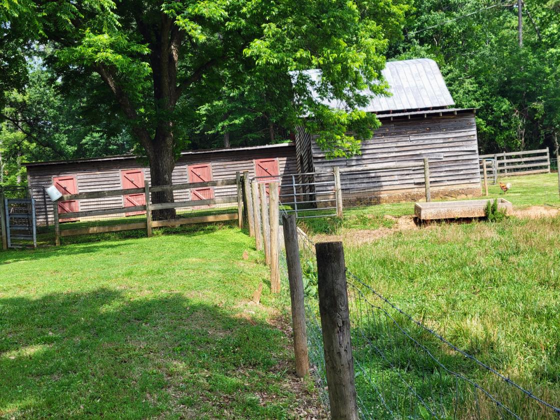 27.5 acre horse/cattle farm with paddocks and pond - photo 7