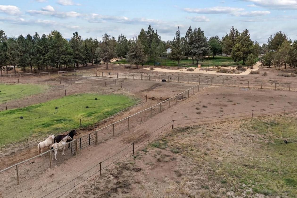 Beautiful Horse Property on 15 Acres - photo 11