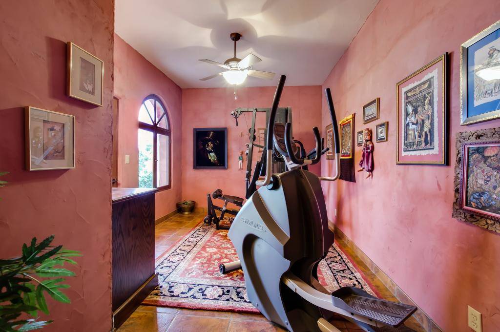 HORSES AND CITY AMENITIES San Antonio, Bexar County, Texas Horse