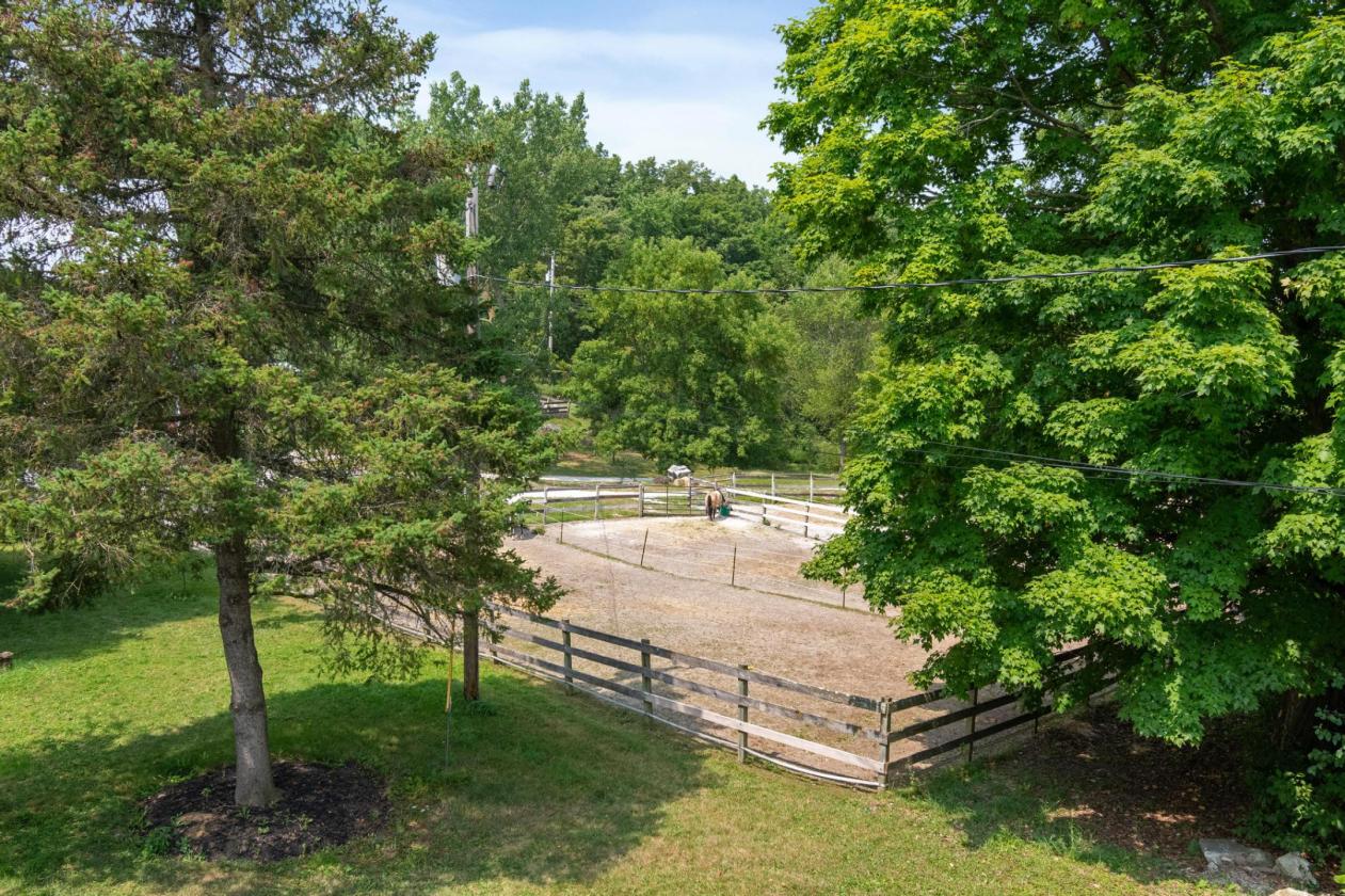Established Equestrian Facility on 17 Acres - photo 27
