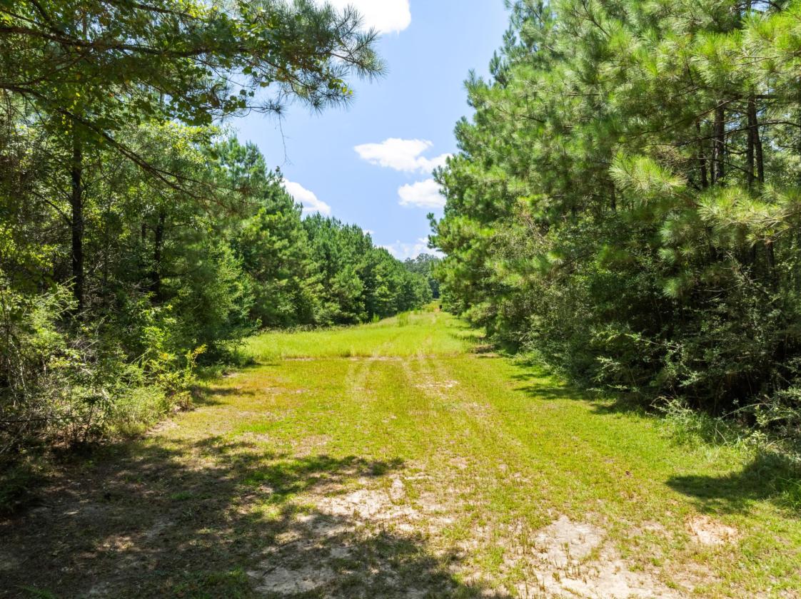 53 Acre parcel with barndominium! - photo 26