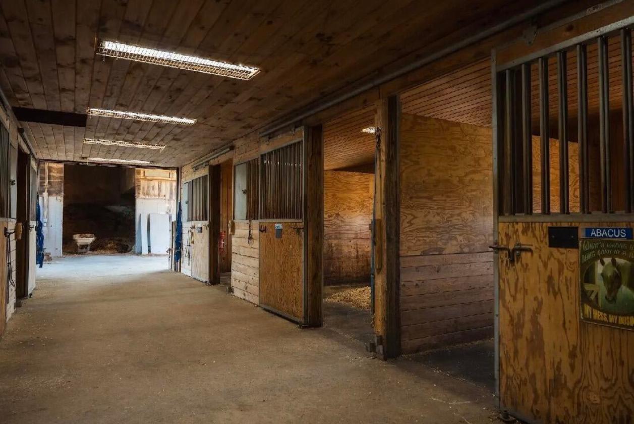 Central Maine Equestrian Homestead - photo 22