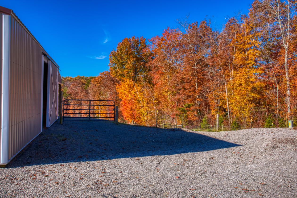 Turn Key Home with 7 Acres in Ridgetop - photo 5
