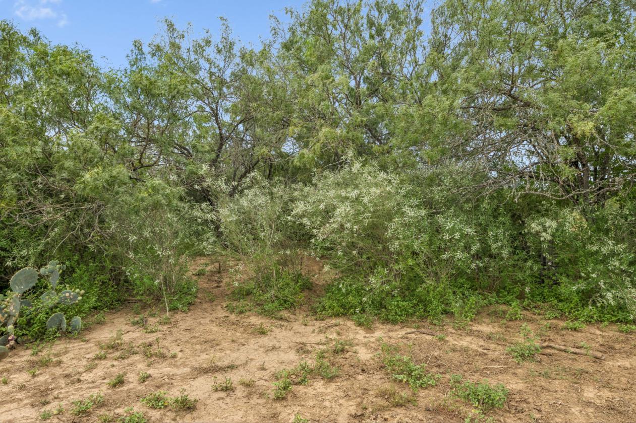 17.43 acres near Saint Hedwig - photo 5