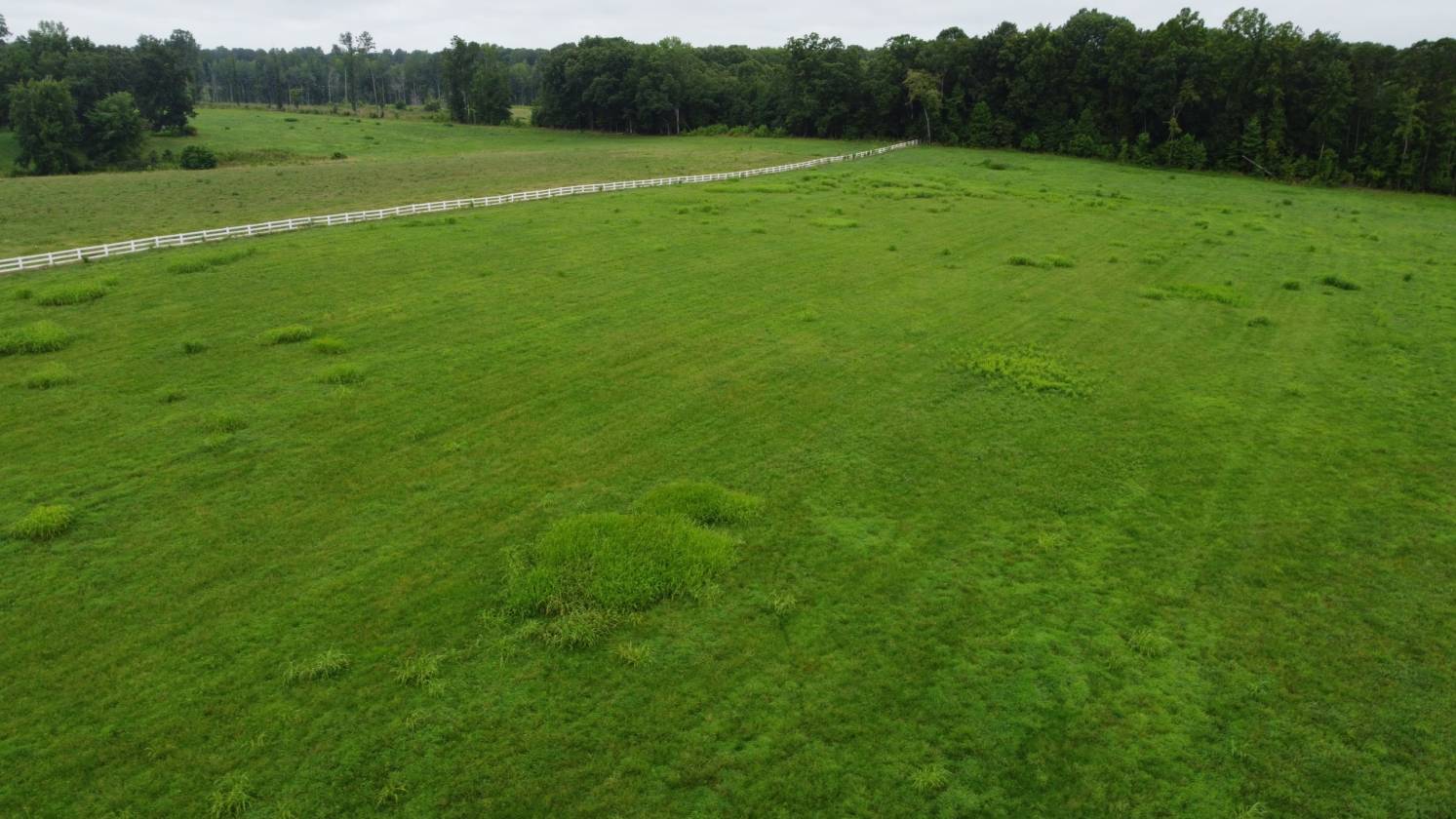 Beautiful field for your new home and horses too! - photo 6