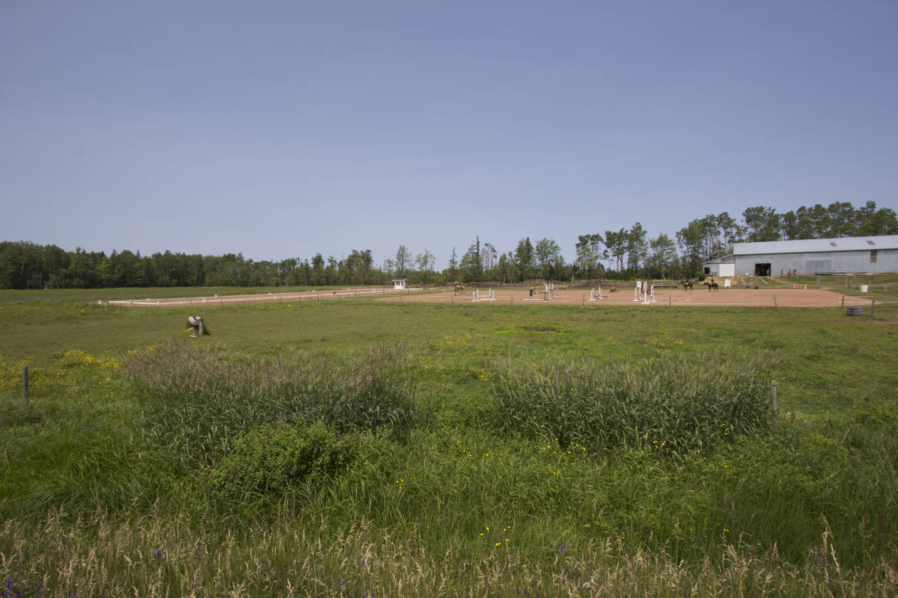 ESTABLISHED EQUESTRIAN STABLE Port Howe, Cumberland County, Nova