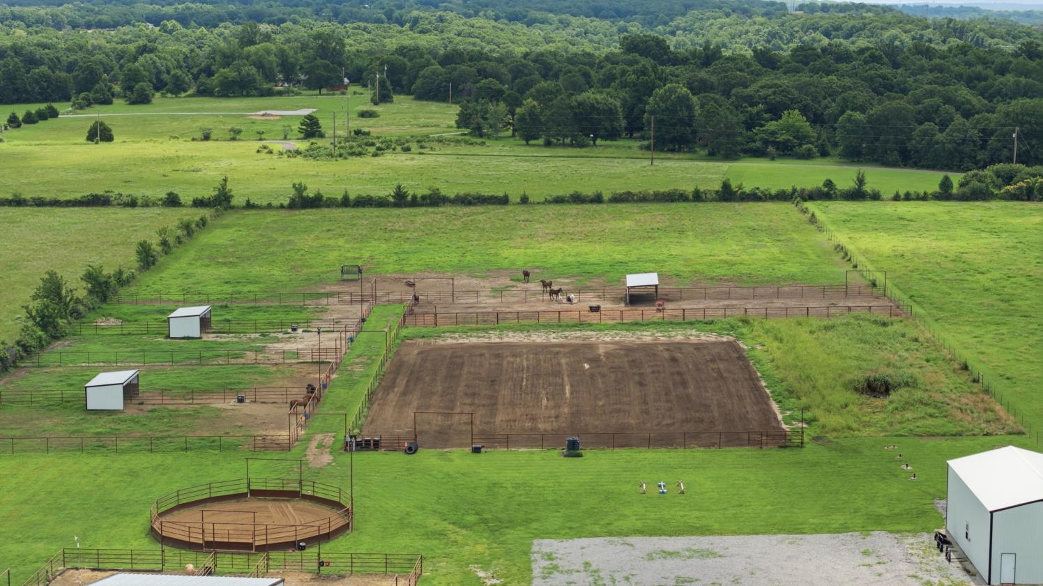 10 Acre Horse Property - photo 16