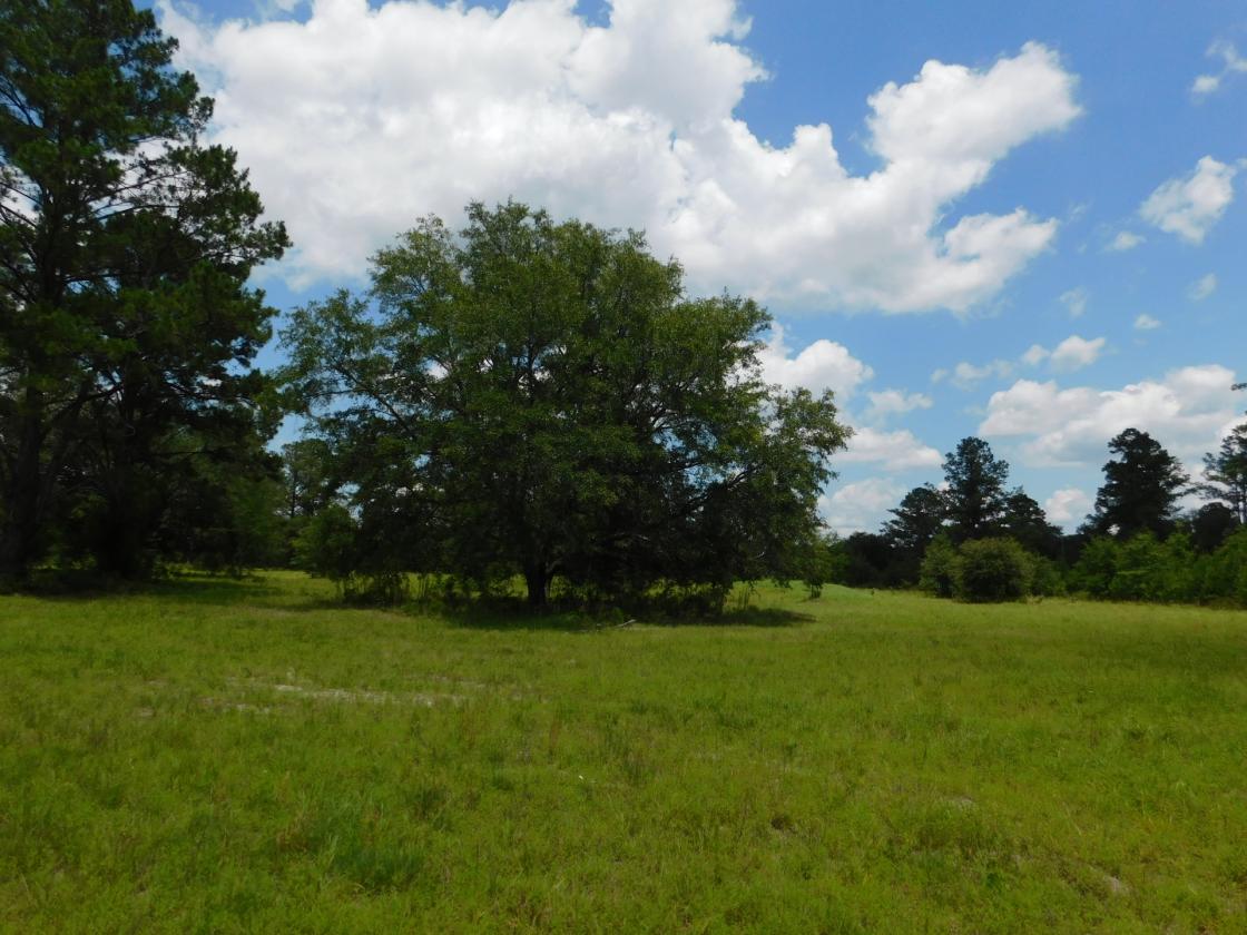 Lowcountry Paradise, waiting for your creativity - photo 14