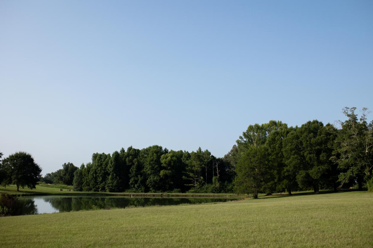 Horse Country Heaven - 10.38 Acres - photo 27