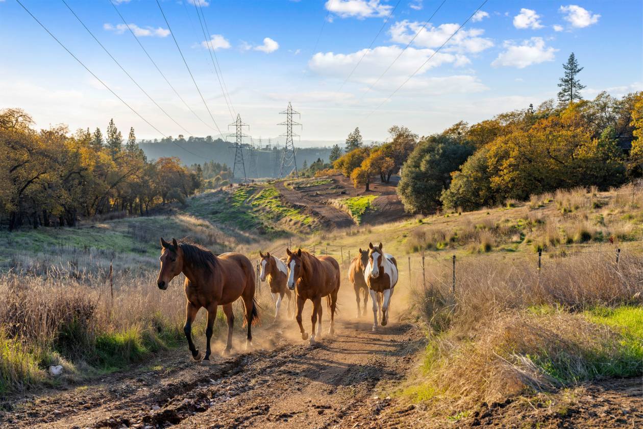 Turnkey 10-Acre Ranch Near Downtown Placerville | Placerville, El Dorado  County, California | HorseProperties.net