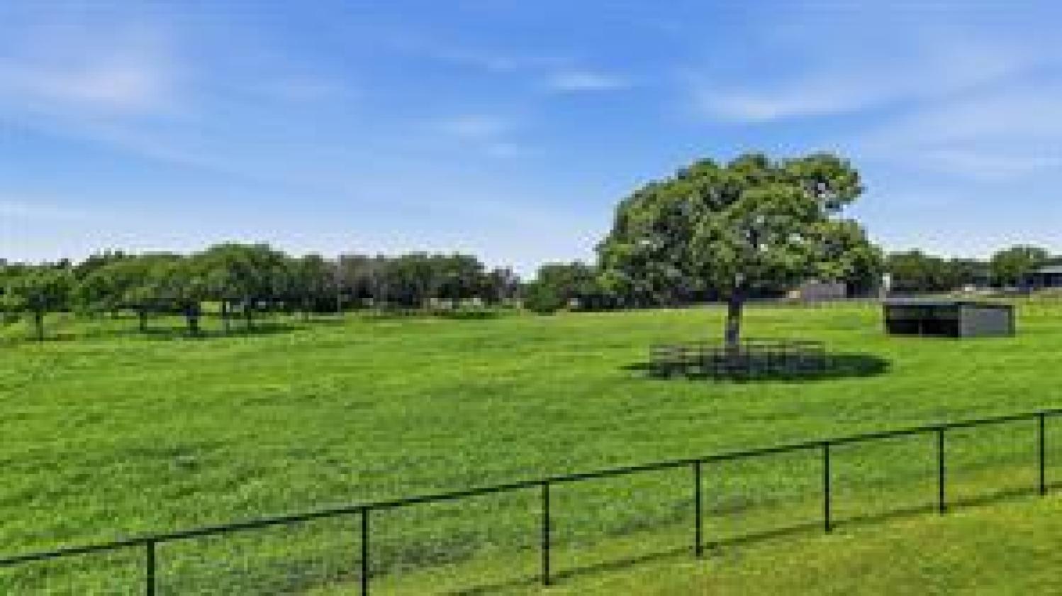 Exceptional Turn Key Equestrian Facility - photo 15
