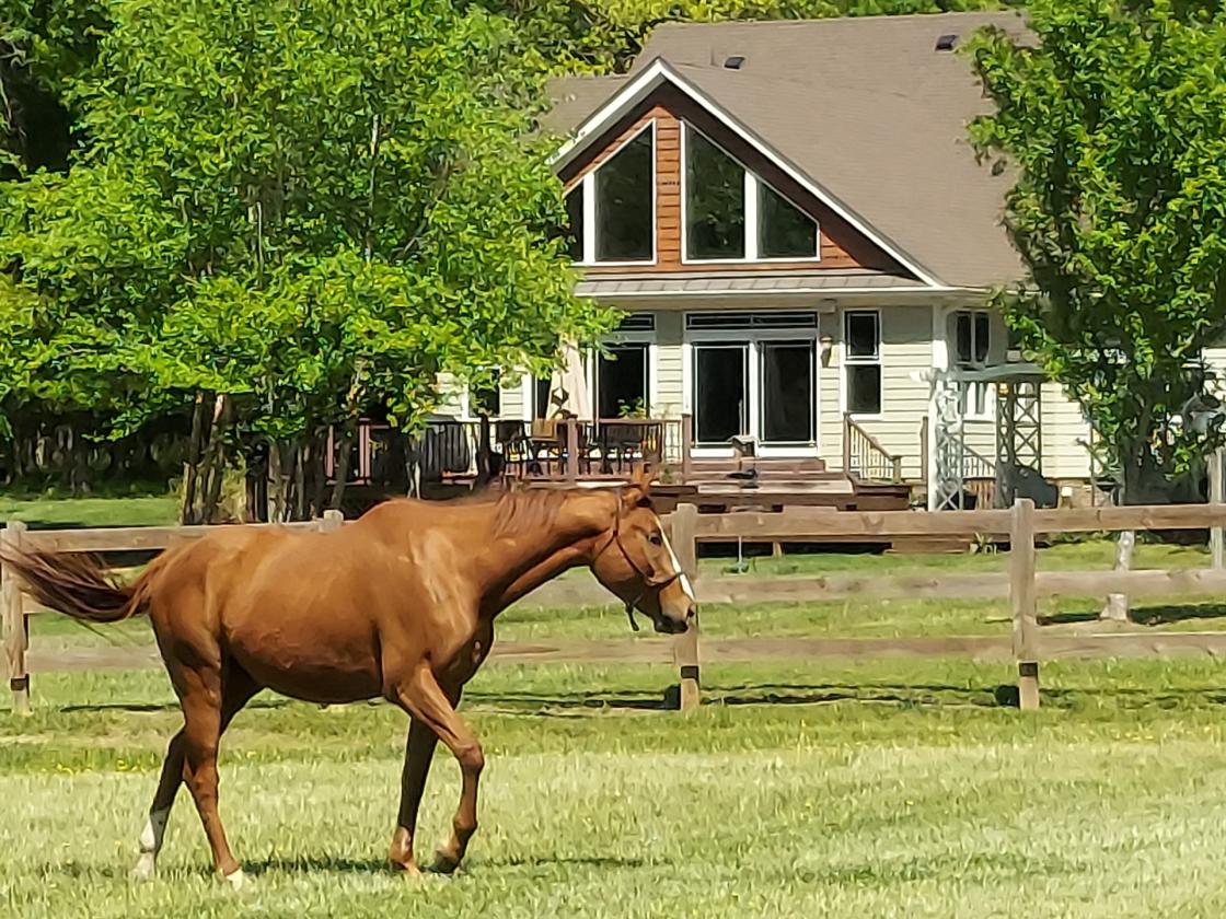 13 Acres of Pasture, Home & Tennis Ct - photo 2