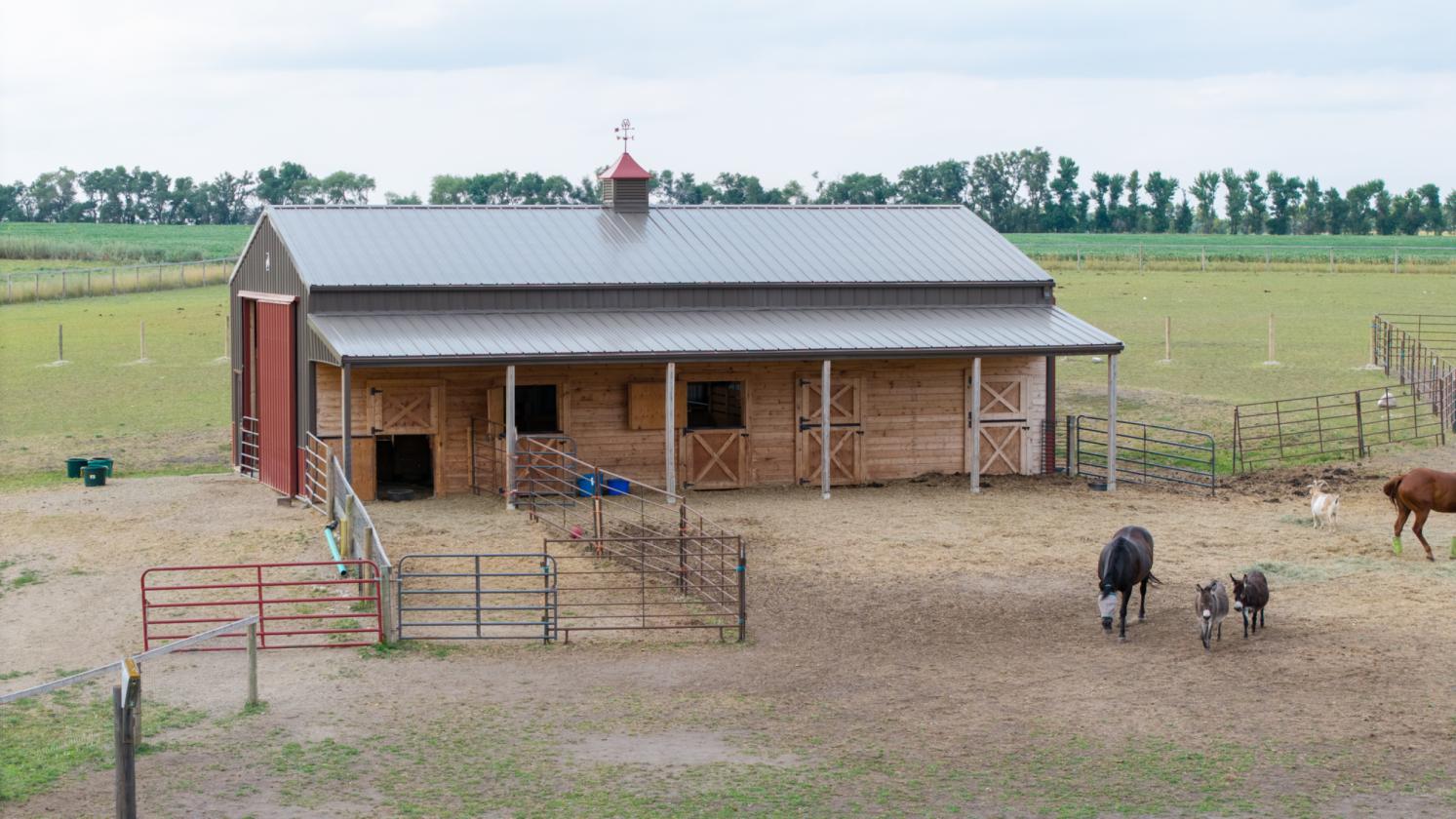 62+ Acre Farmstead w/ Barns, Pasture, and a View! - photo 4