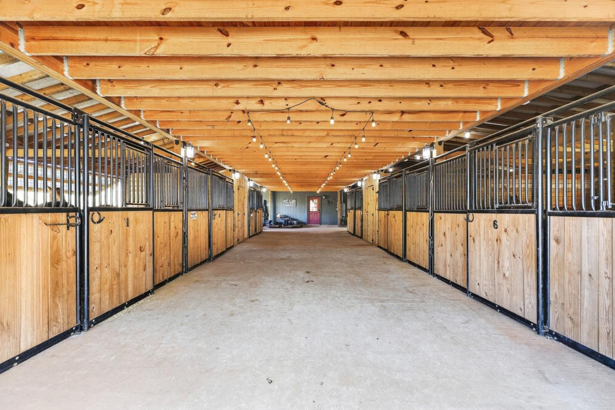 Premier 47+- acre Equestrian facility - photo 5