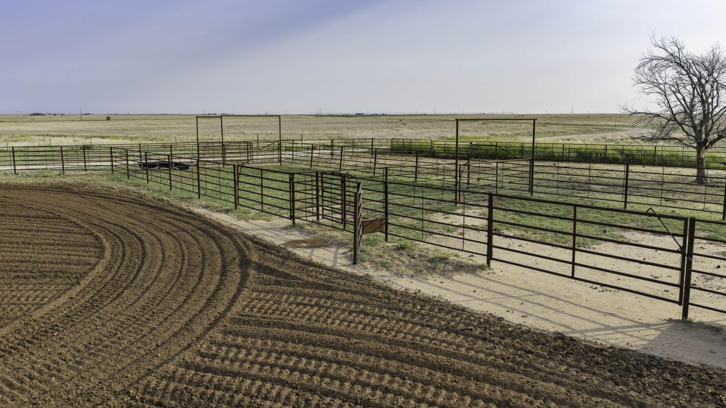 Prime Texas Ranch with Arena, Home, & Acreage - photo 28