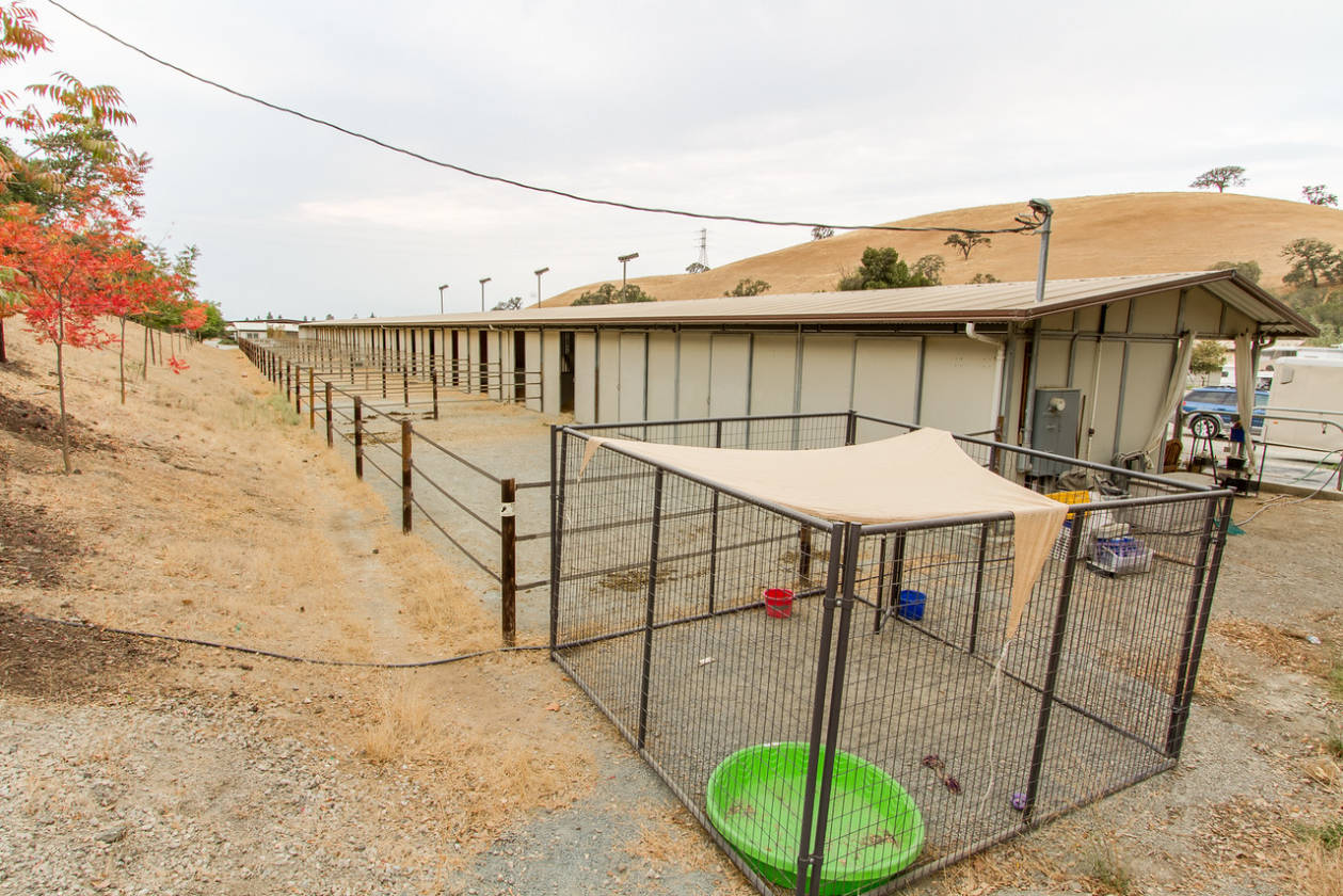 Equestrian Center For sale Walnut Creek, Contra Costa County