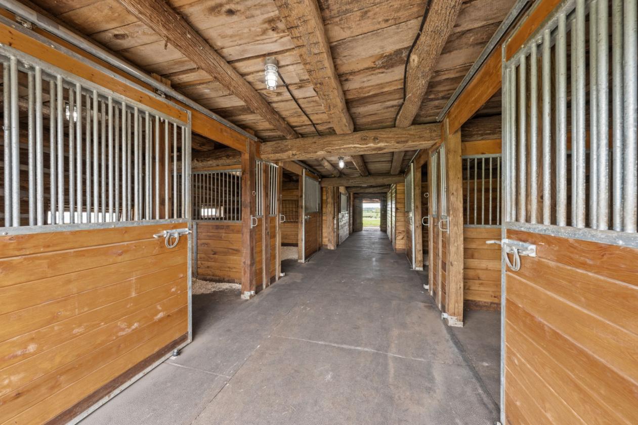 Turnkey equestrian farm w/renovated house/barns! - photo 30