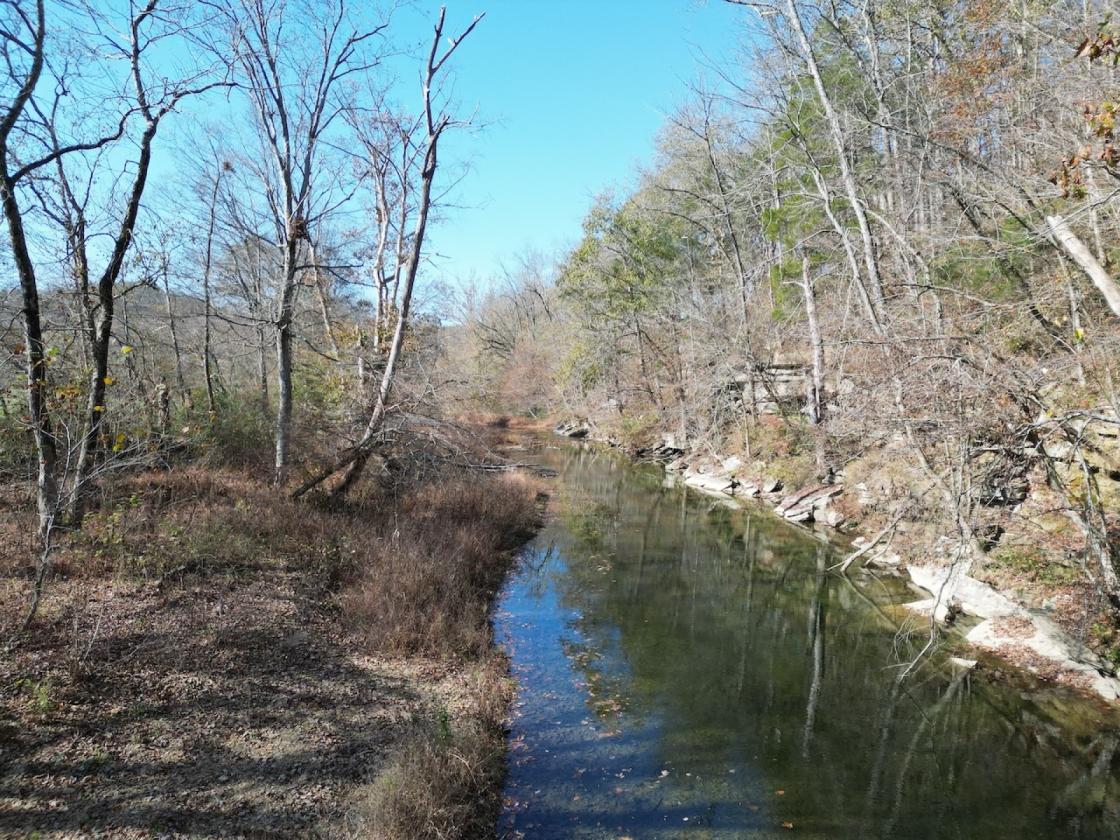 252 ACRES M/L NEAR LAKE CUMBERLAND - photo 12