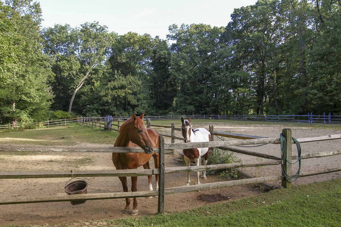 10Acre Modern Horse Farm Surrounded by Hundreds of Acres of