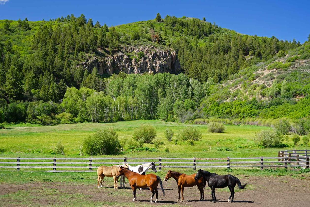 Ranch on Sweetwater - photo 3
