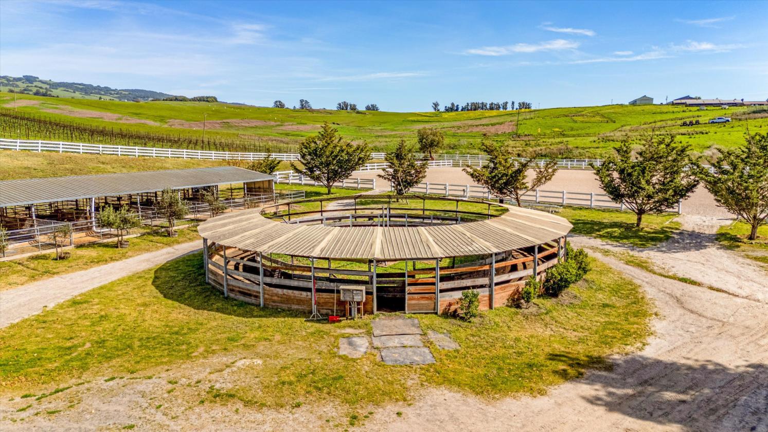 Where World-Class Pinot Meets Premier Equestrian - photo 13