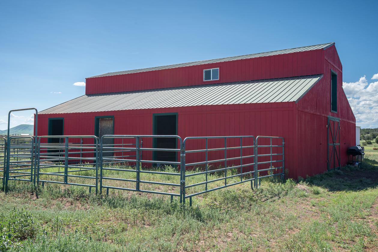 36 Acre Horse Ranch in the Wt. Mtns. of ARIZONA - photo 19