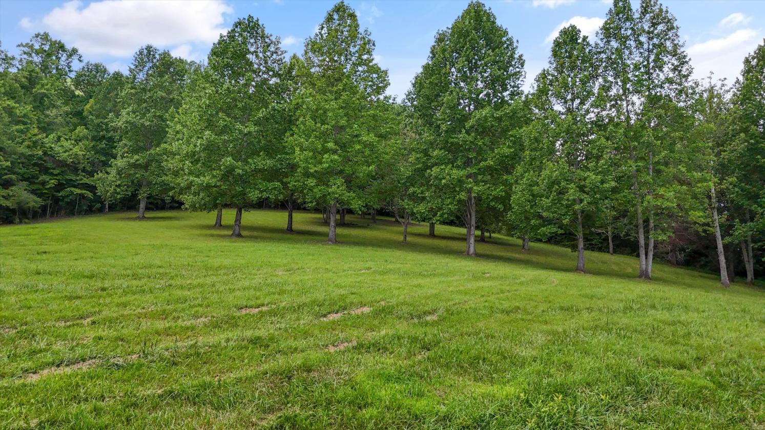 87-Acre Equestrian Farm & Restored Historic Barn - photo 25