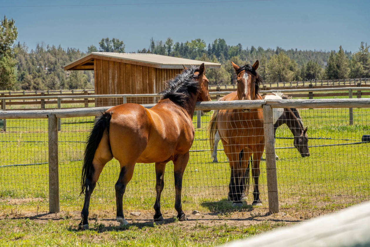 Premiere Central Oregon horse Property Bend, Deschutes County, Oregon