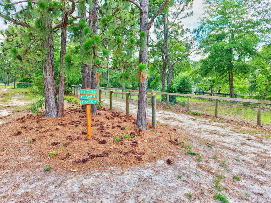 Camden Horse Farm - Miles of Trails - photo 4