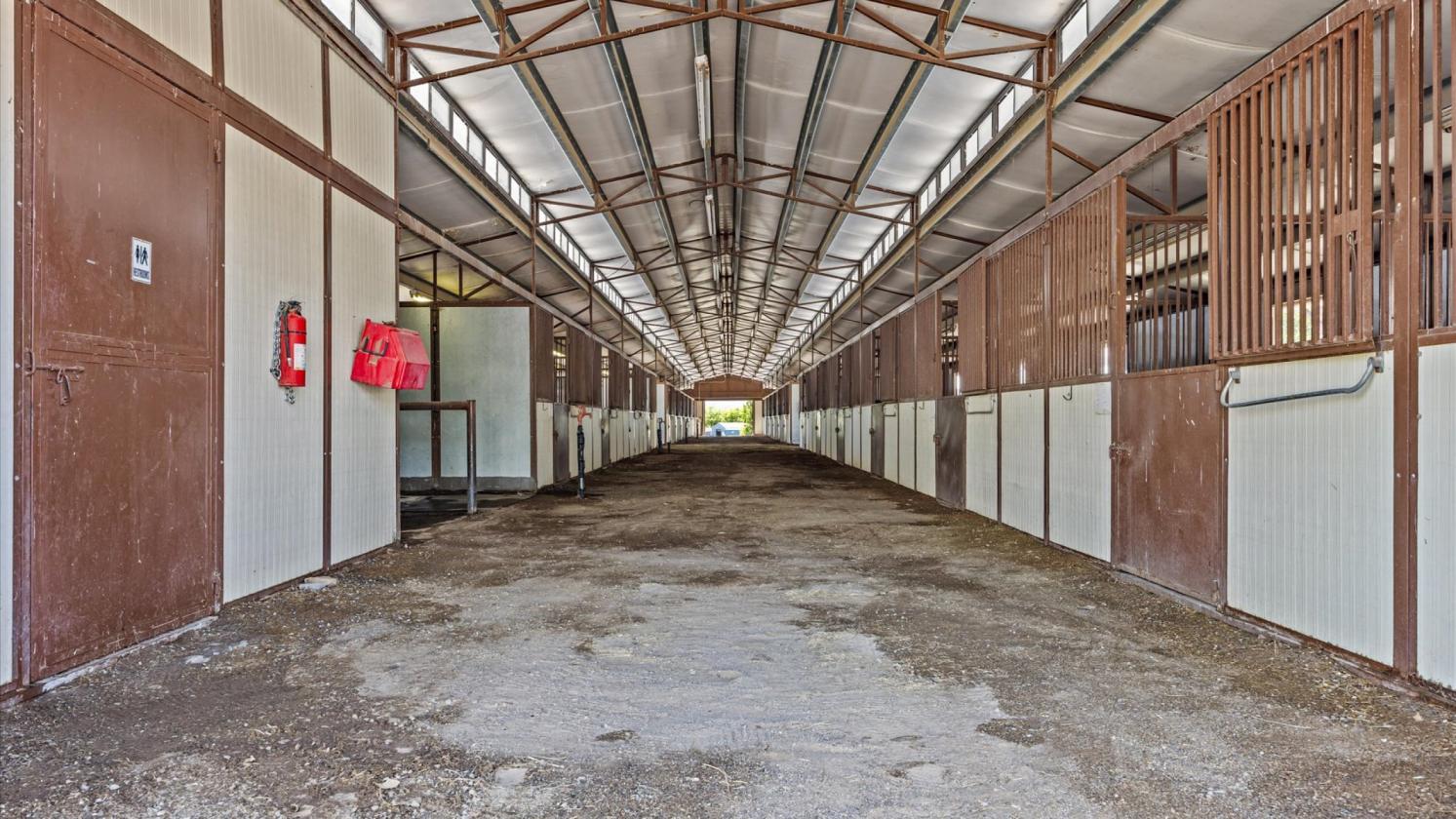 Rare equestrian sanctuary set on over 14 acres - photo 17