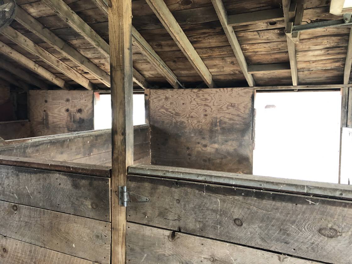 11.31 Acre Horse Farm Dighton, Bristol County, Massachusetts Horse