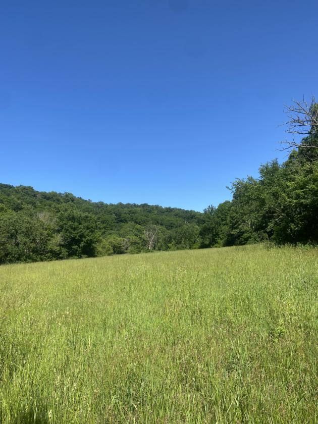 Deep River Farm - photo 17