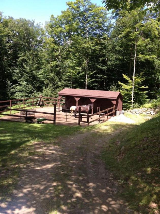 Private Country Sanctuary on 3.2 Acres - photo 3