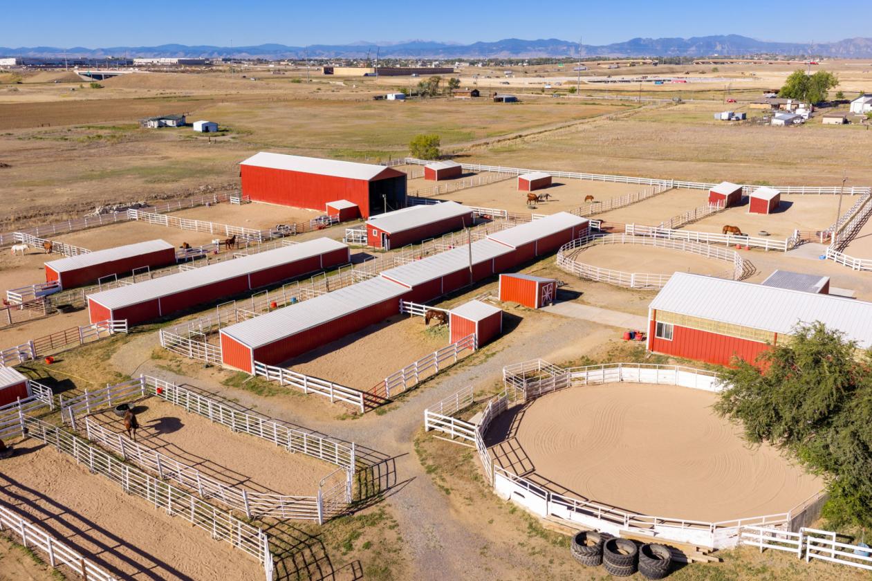 Exceptional 6.9-Acre Equestrian Property - photo 7