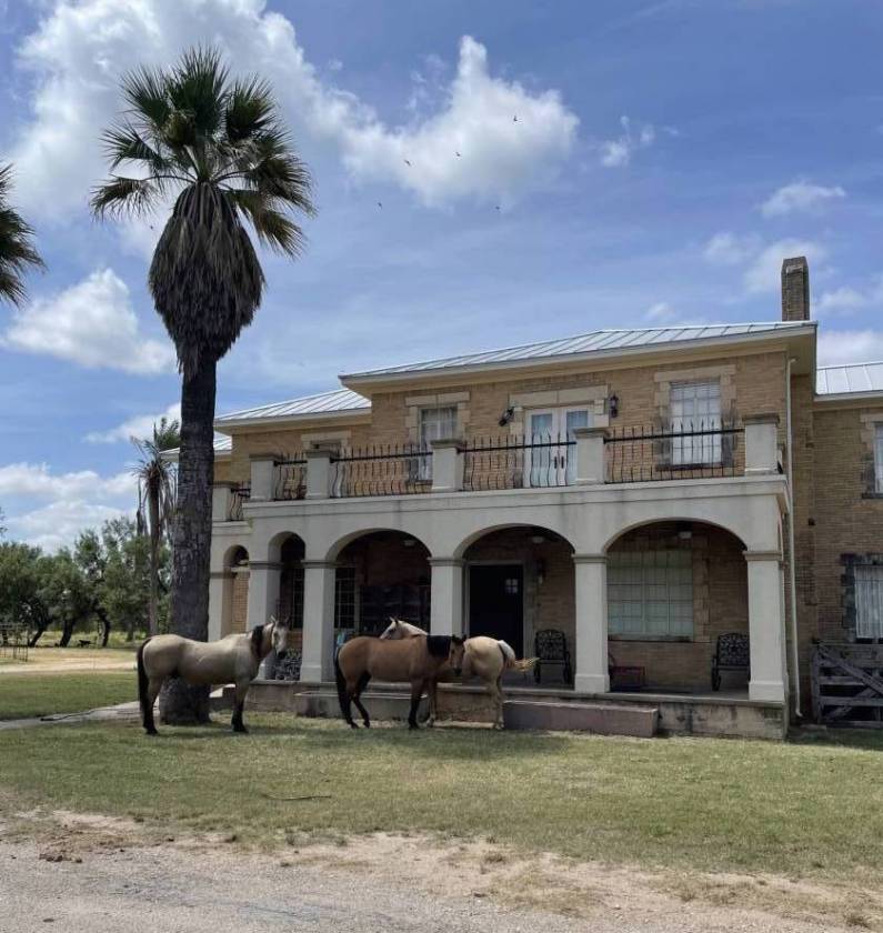 Horse Property for sale.