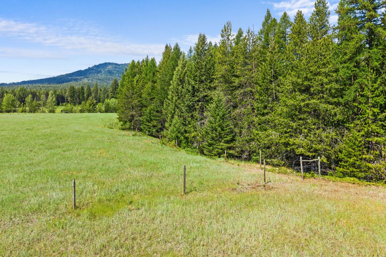 Level 20.65 acres w/Creek, Pasture & Woods - photo 16