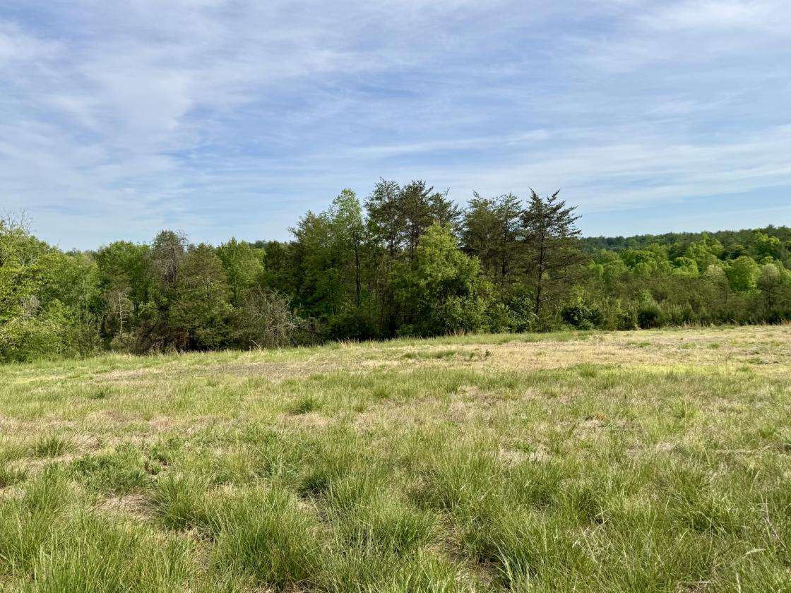 2.47 acres for your Mini-Farm Dream at The Coves - photo 7