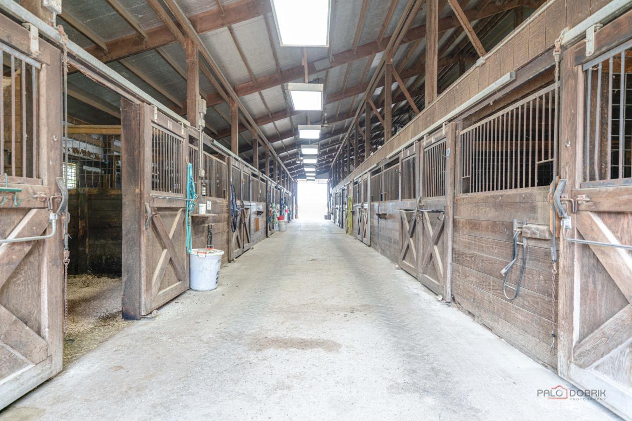 81 Stall Equestrian Facility in Lake County - photo 3