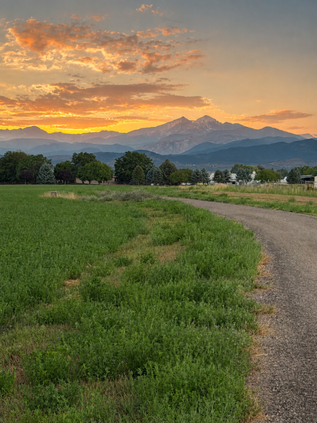 Berthoud Farm - photo 4