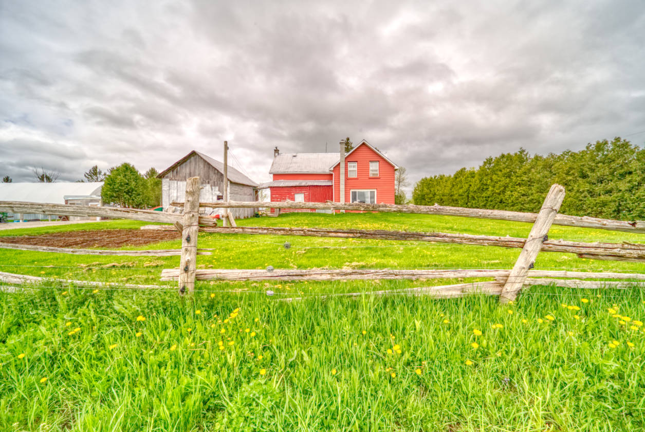 Horse Farms For Sale Kawartha Lakes, Kawartha Lakes Ontario