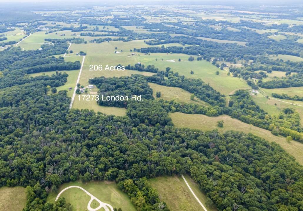 206 beautiful mostly level land - photo 16