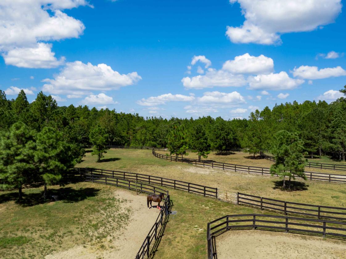 40 Acre Turn Key Dressage Facility with Log Home - photo 6